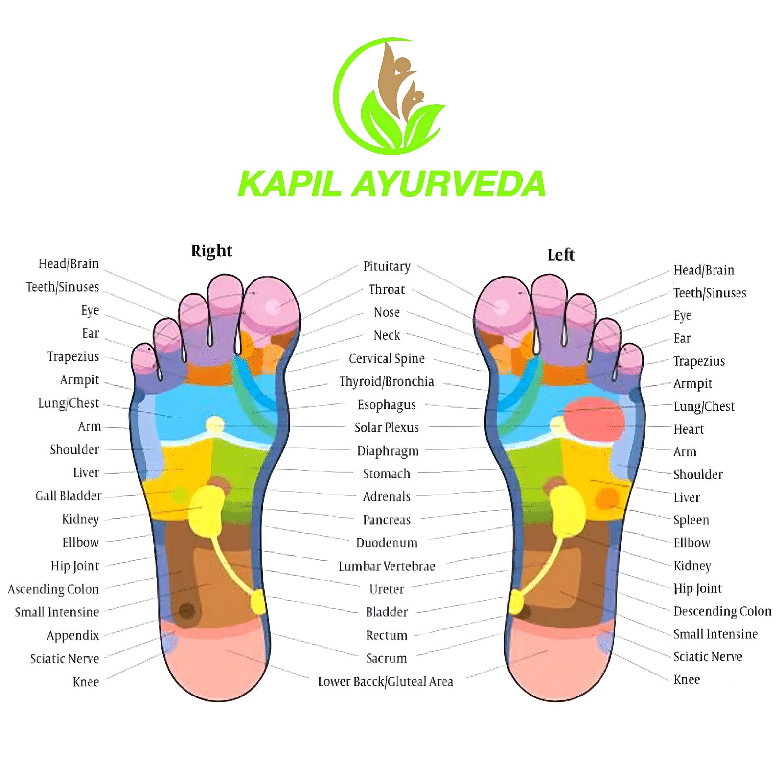 Left and right foot Paadabhyangam demonstration